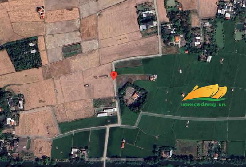27.364.01 3610m2 đất lúa đường đan nông thôn Tân Ân
